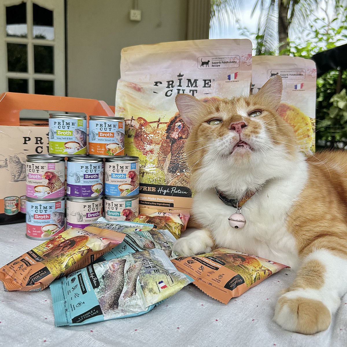 Yang paling senang nak bergambar. Letak dia kat situ pandai la dia pose macam-macam. Haih sayang sangat oren busuk ni