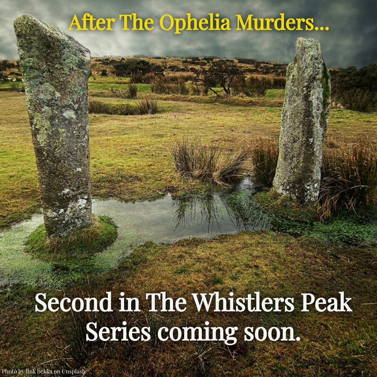 Just briefed the cover designer - Second in the Whistlers Peak series. 

Title and cover reveal coming soon.