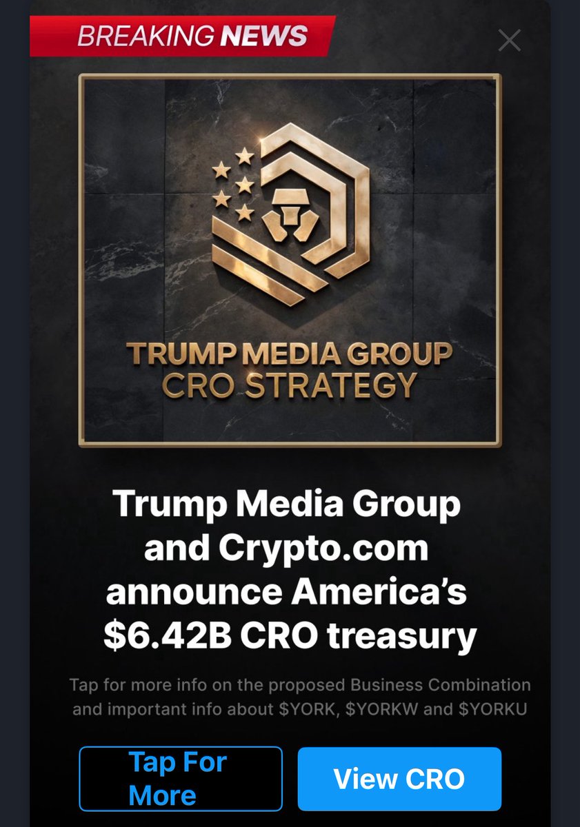 DreamQc tweet media