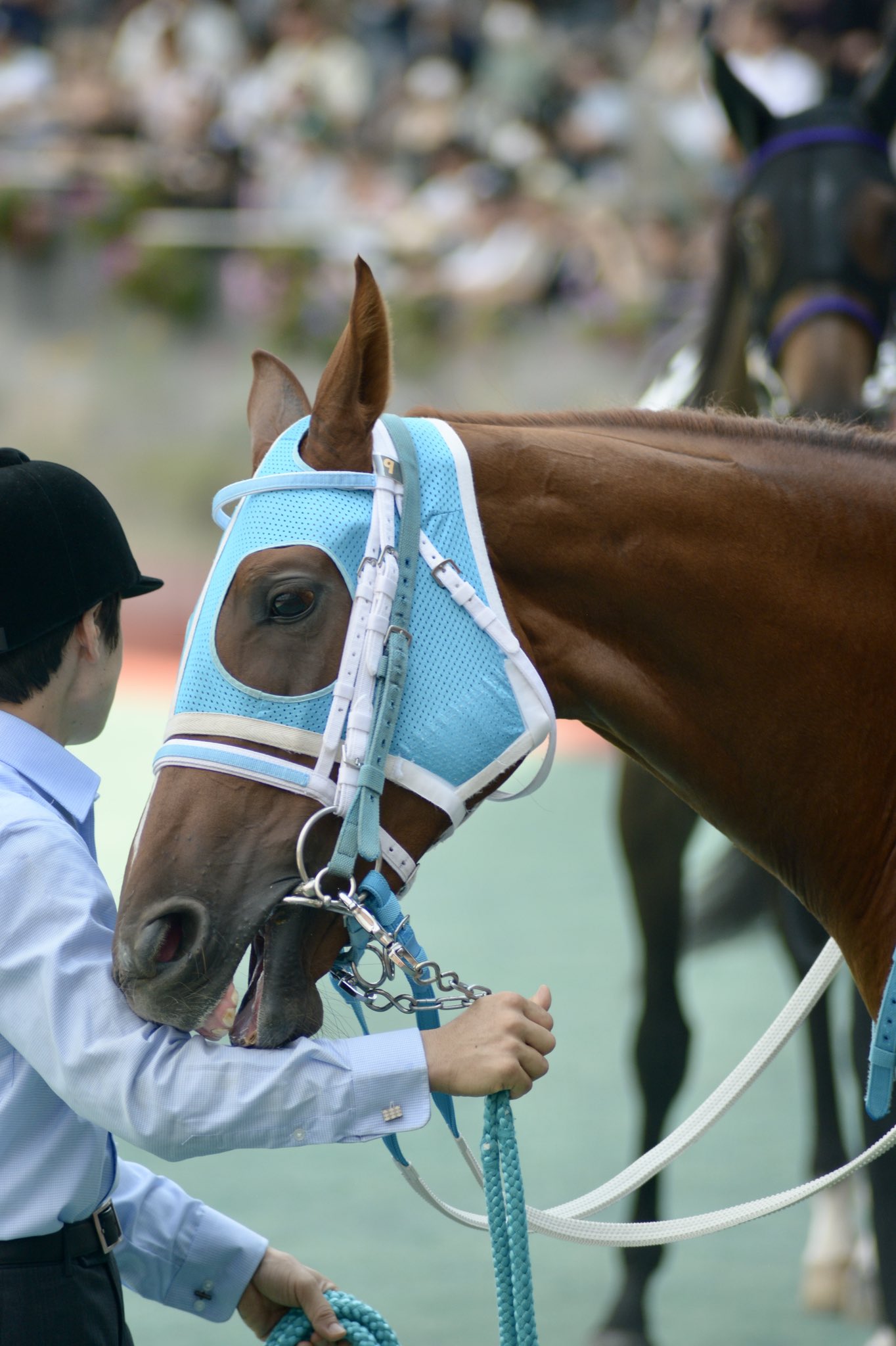 舞夢🐎🎀 on X: 