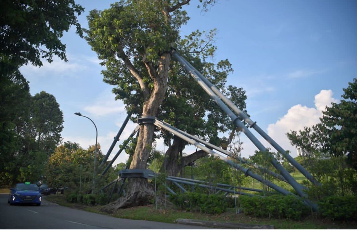 Bateman24's tweet photo. @campbellclaret If you are in Singapore try and visit this one. https://t.co/LR8EavdFWF