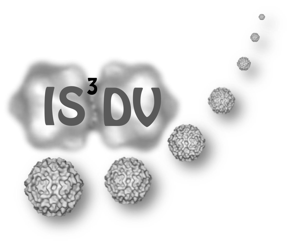 To all friends and colleagues virologists

SAVE THE DATE for the next International Symposium on Single Stranded DNA viruses

Ilhéus, Bahia, Brazil
June 15-19 2026

Stay put for more info soon when website goes on air !