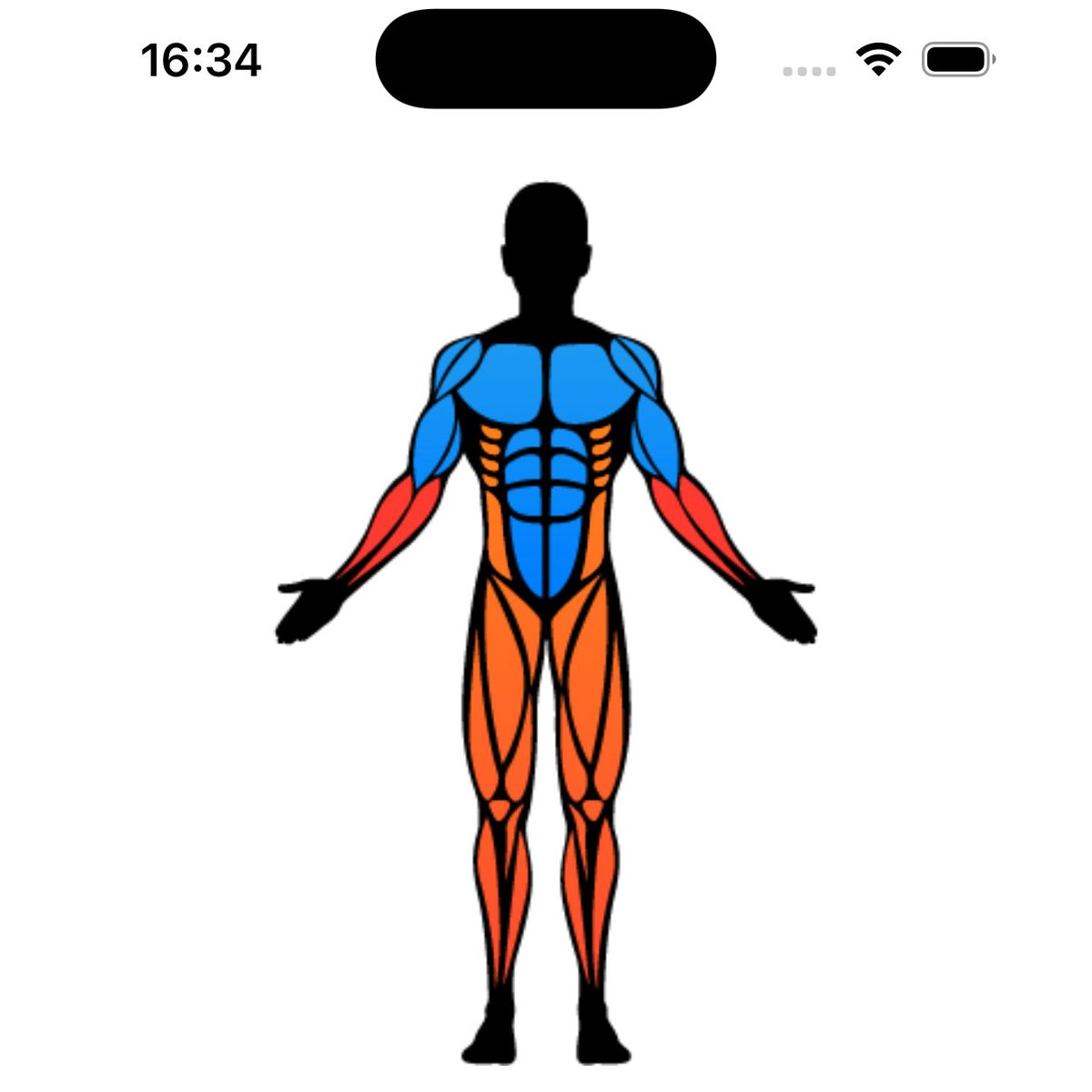 I added muscle heat map to my fitness App. It was challenging yet necessary