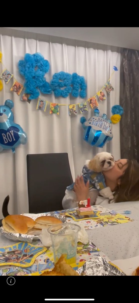 蓮のママ(愛知県西尾市で迷子のシーズー蓮を探しています) tweet media