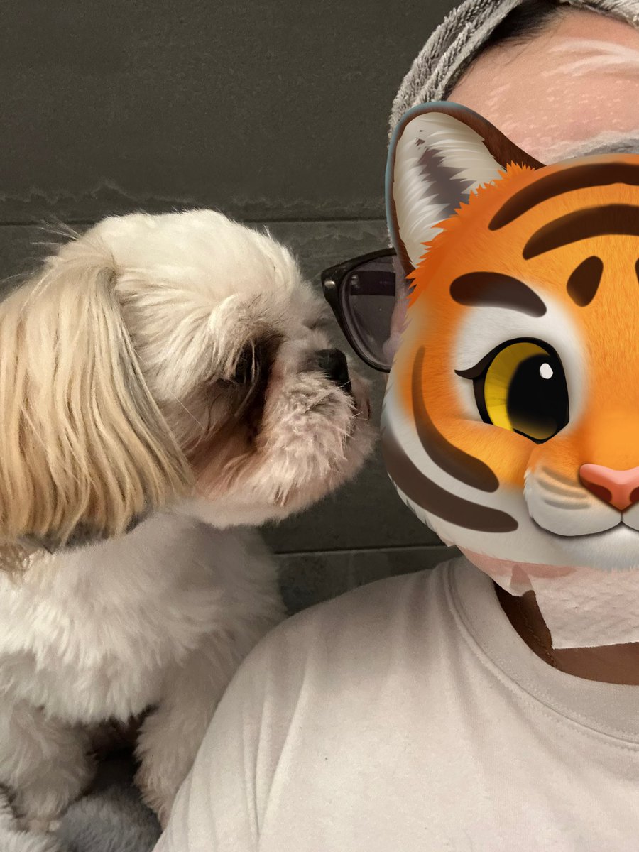 蓮のママ(愛知県西尾市で迷子のシーズー蓮を探しています) tweet media