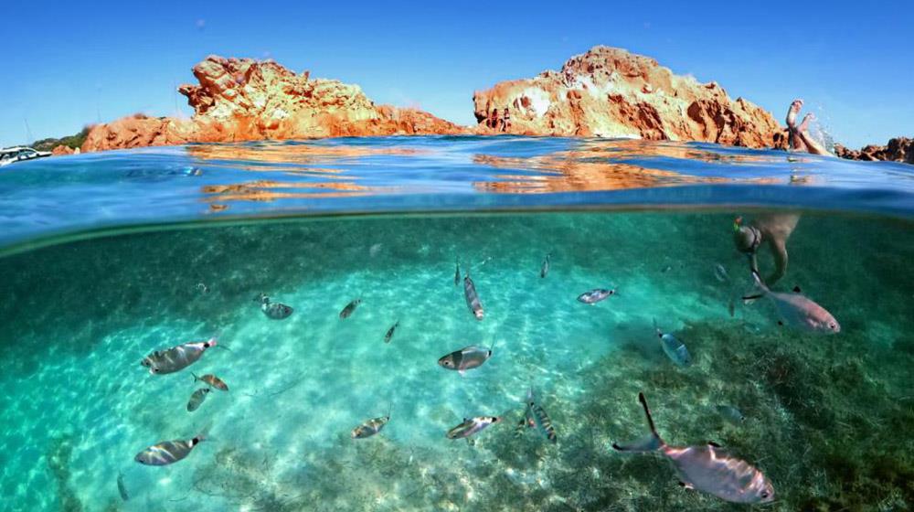 Η Ευρωπαϊκή Ένωση επενδύει 116 εκατ. ευρώ σε 13 έργα για την αποκατάσταση των ωκεανών και των υδάτων eudirectlarnaca.eu/?p=4881