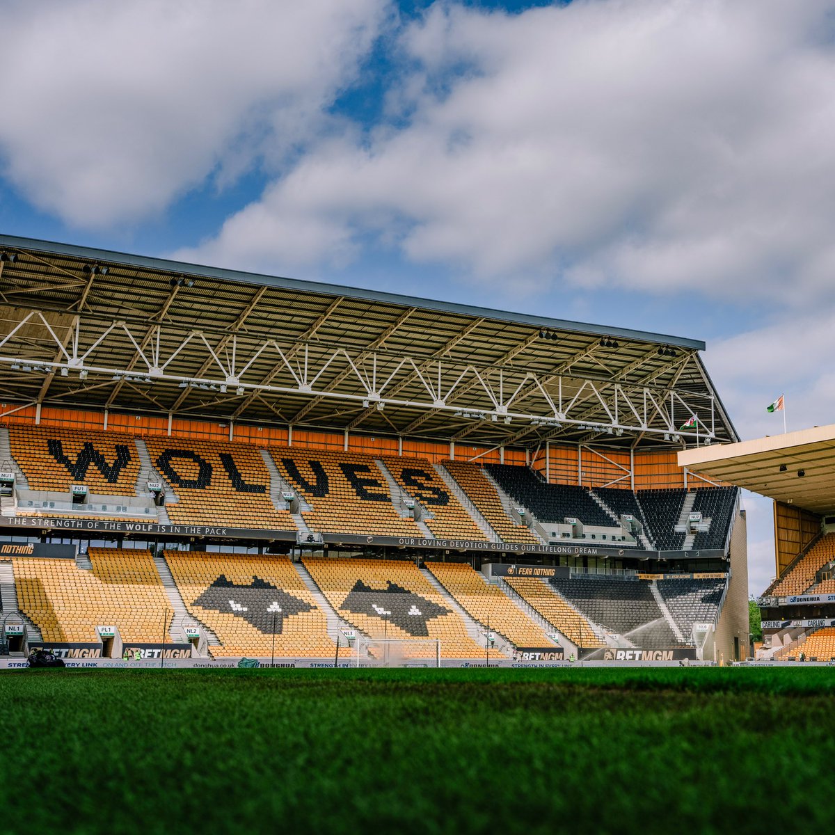 Wolves Fancast tweet media