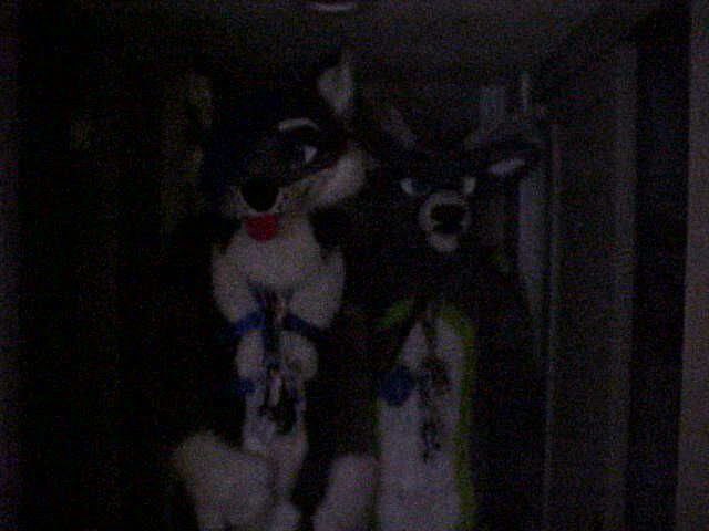 pinglee🇩🇰🇺🇸 (@pinglee_deer) on Twitter photo They are offering you the amongers potion in the backrooms at 3am.
This photo was taken with a camera that uses physical save icons as storage.
📸: <a href="/RipleyOtter/">Ripley the Otter</a>
🐕: <a href="/KaiFurPhotos/">Kai the moot</a> They are offering you the amongers potion in the backrooms at 3am.
This photo was taken with a camera that uses physical save icons as storage.
📸: <a href="/RipleyOtter/">Ripley the Otter</a>
🐕: <a href="/KaiFurPhotos/">Kai the moot</a>
