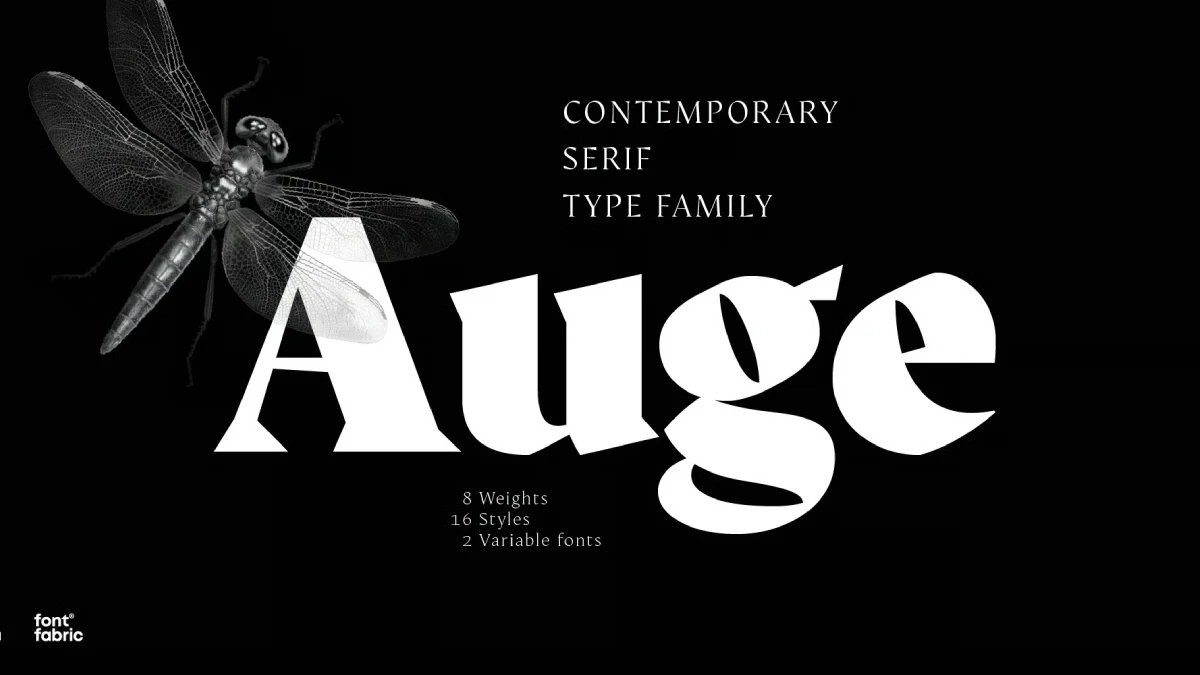 weandthecolor's tweet photo. Explore the Auge Font Family by Fontfabric Type Foundry. https://t.co/Gyvyup0YMH
#font #typeface #fontfamily #typography #design #graphicdesign https://t.co/OqNkolQaQx