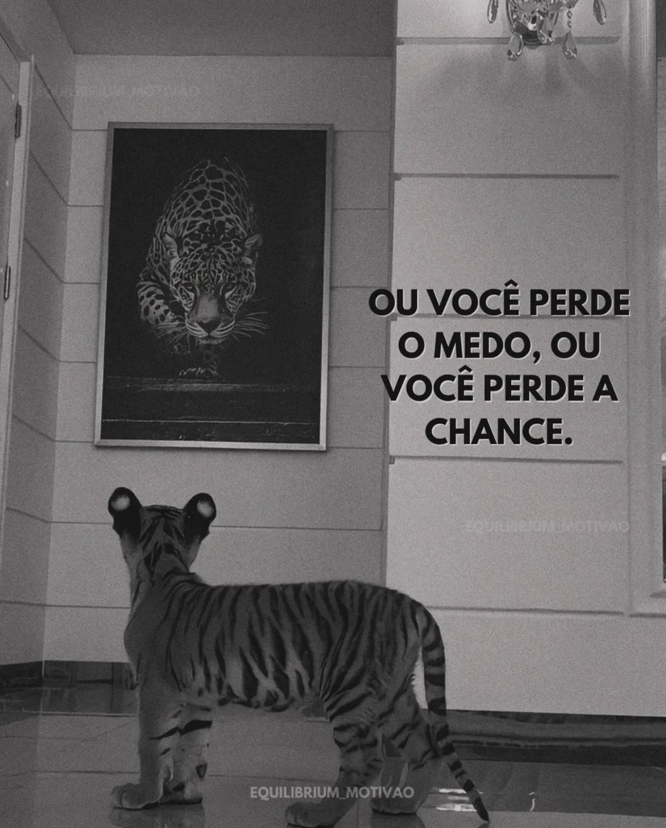 Frases (@inspireipoesia) on Twitter photo 