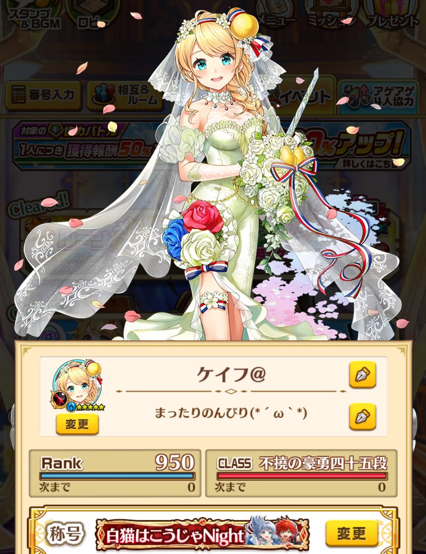 白猫@ケイフ 新垢 tweet media