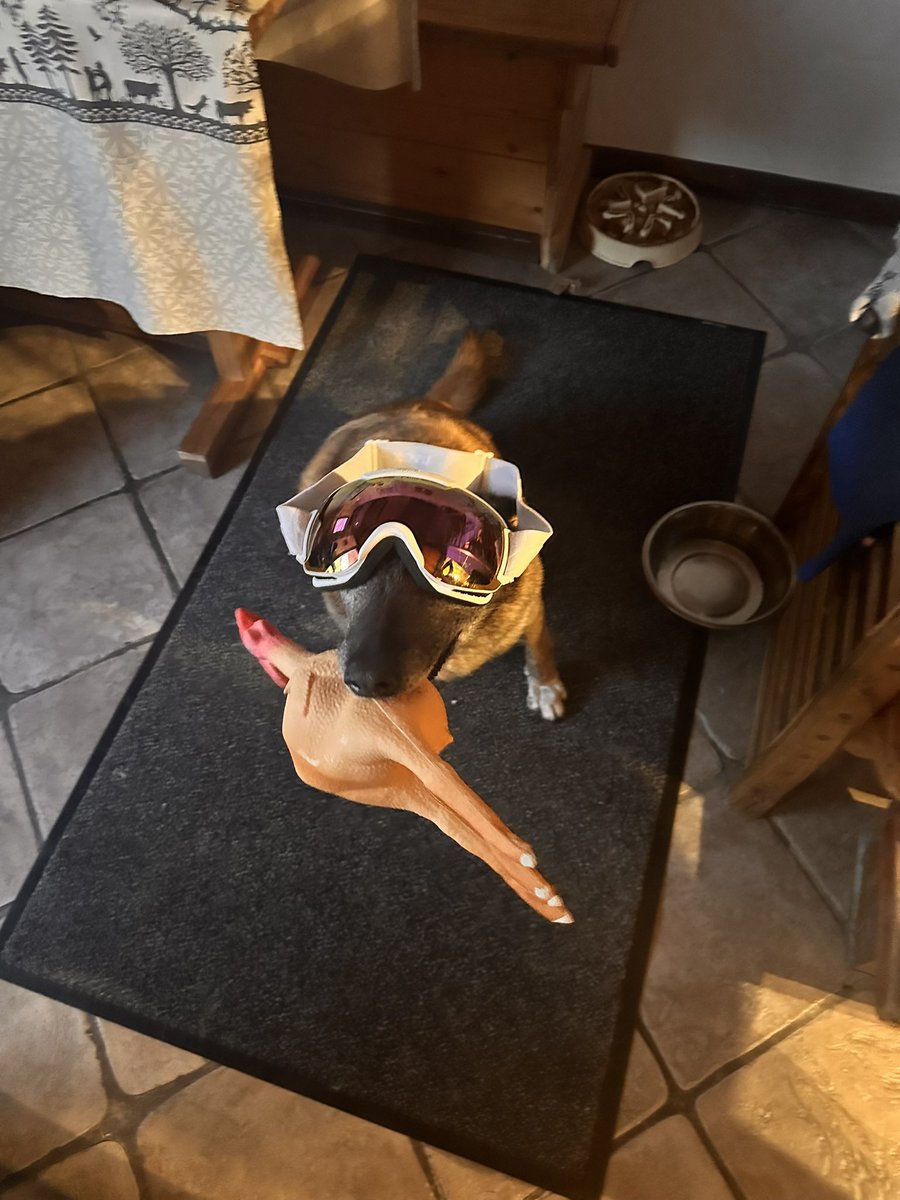 ❕erwanos❕ tweet media