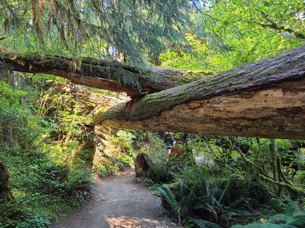 Neil Cavanah tweet media