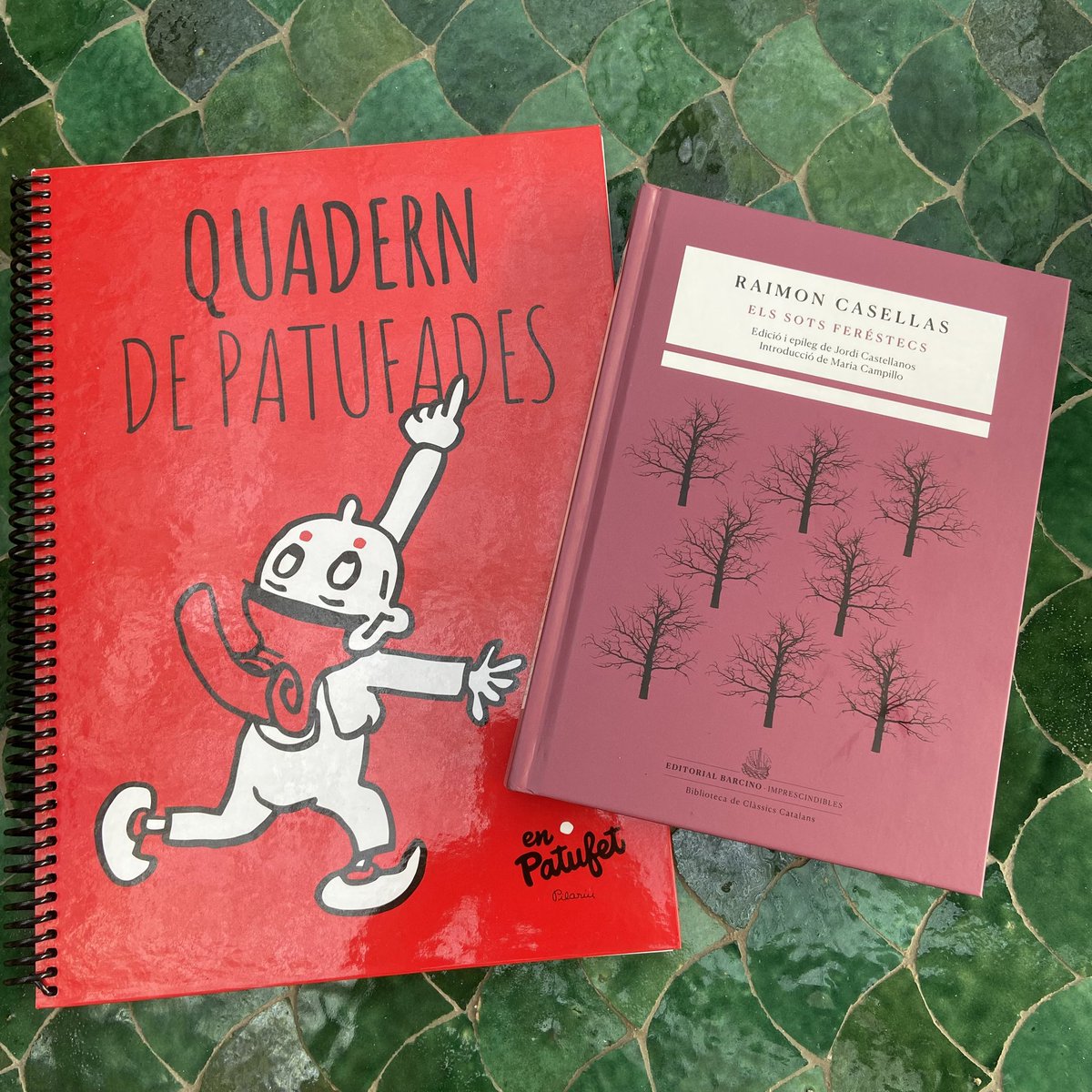 Pares i mares de #LaBisbal, a la <a href="/Siglantana/">LaSiglantana</a> tenen les llibretes definitives pel curs 2025-2026
Jo hi he anat un segundet i ja he llepat perquè, d’esprit, tinc 6 anys.