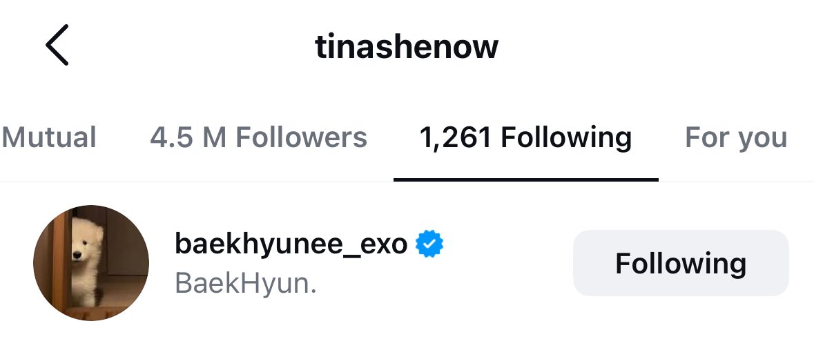 qtpiebyunbaek's tweet image. Baekhyun and Singer-Songwriter Tinashe followed each other and are now mutuals on Instagram!!!
