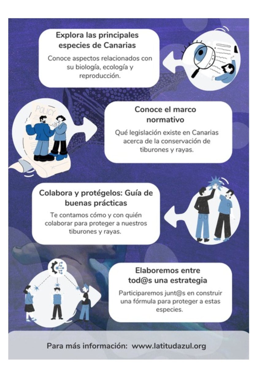 Taller 🦈
⬇️⬇️⬇️

<a href="/AzulLatitud/">Latitud Azul</a>