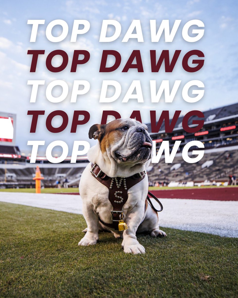 Mississippi State tweet media