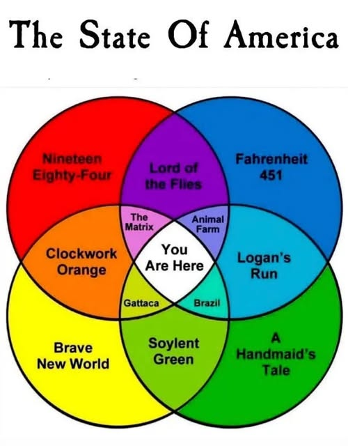 Peter Leadley a.k.a Nearly All Meme Own Work (@leadleypeter) on Twitter photo 