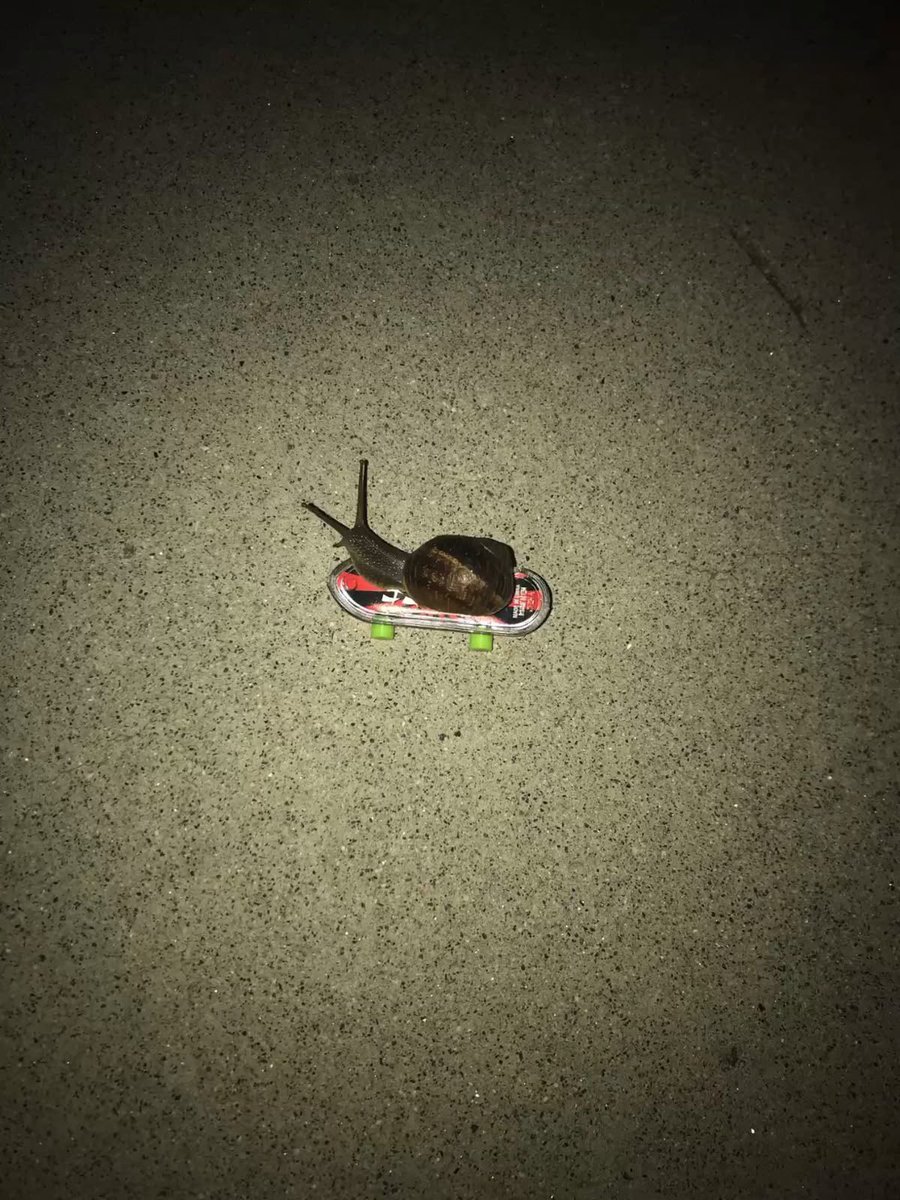 I’m the coolest snail round!