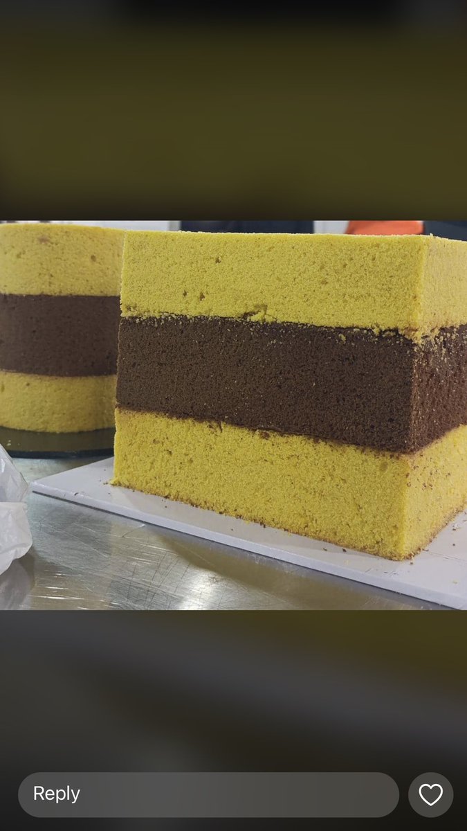 KoredePastries's tweet photo. Cake from Korede’s Pastries comes without icing depending on how you want it.

Patronize our brand❤️❤️.
💯 customer satisfaction 

#cake #sweettooth #koredespastries https://t.co/NIaHyv7qmx