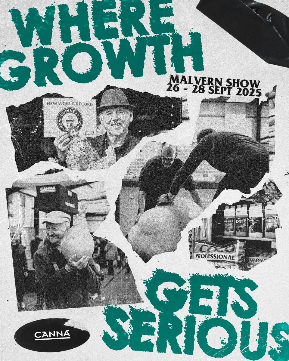 Heavy yields, heavier bragging rights. 🔥

Reach new heights with CANNA. The throne isn’t given, it’s grown 👑

#qualityprovesitself #Malvernautumnshow