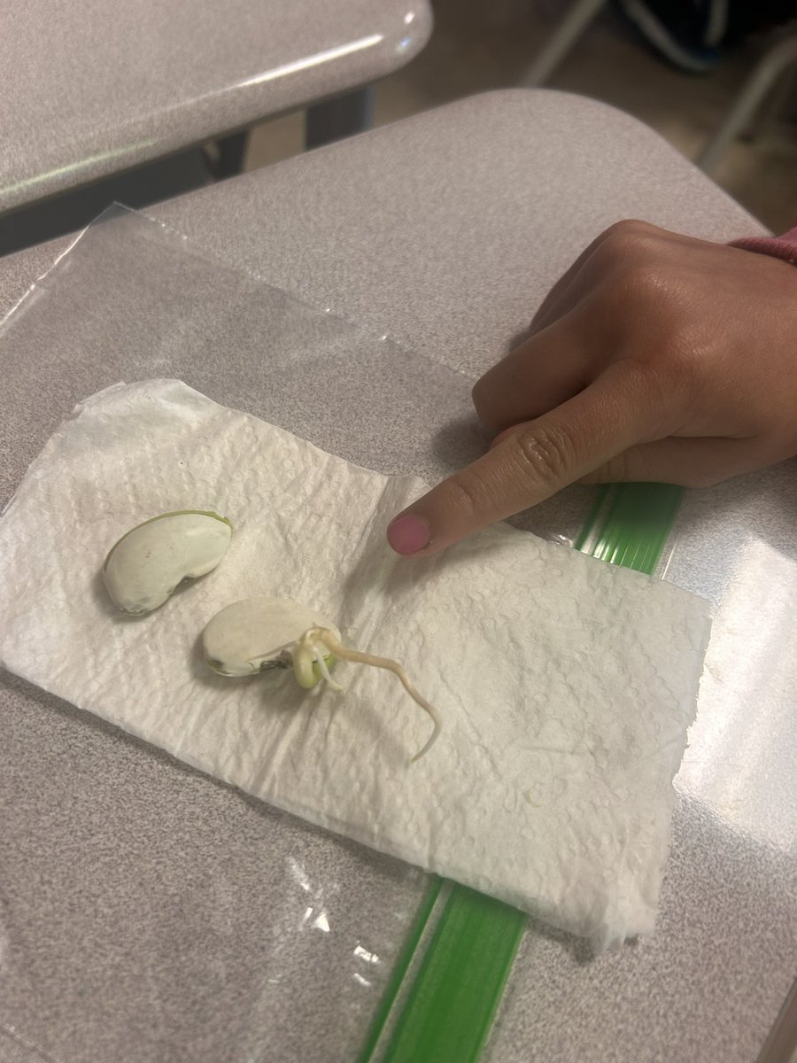 Ernie Pyle School 90 tweet media