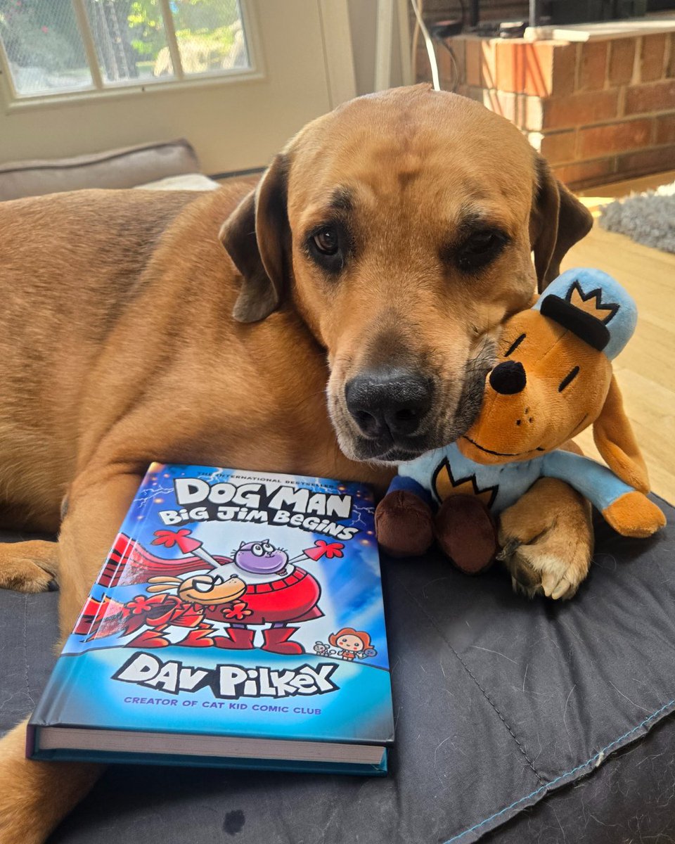 Read to your Dog, Man! Celebrate International Dog Day by reading Dav Pilkey’s # 1 worldwide bestselling Dog Man books with your favorite reader or pup and share you pics with us!