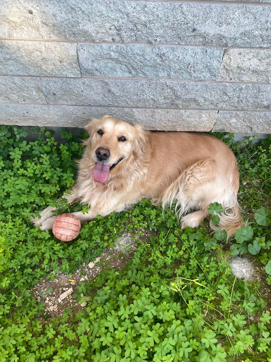 Bugün senin günün 🧚‍♀️iyi ki  vardın 😞