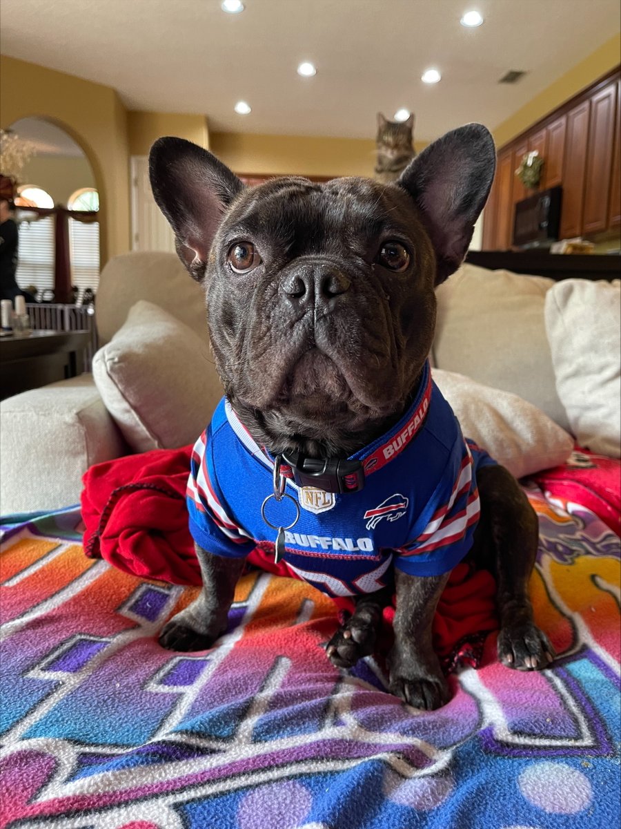 JstPower's tweet photo. It's #NationalDogDay! Check out some of our team members' adorable pups! 🐶 #JSTPower https://t.co/weuq95Z1Aw