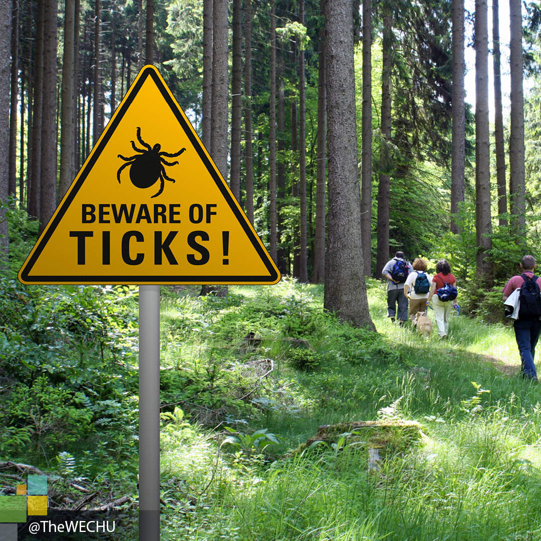 Going camping over the long weekend? 
To prevent Lyme disease, don’t forget to pack:
✅ Insect repellent
✅ Tweezers
✅ Soap or sanitizer
✅ Protective clothing 

For more tips, visit: ow.ly/Mup450WLFCi
