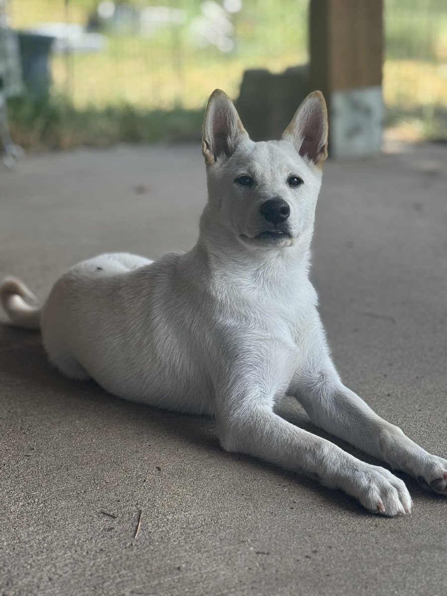 fxnction tweet media