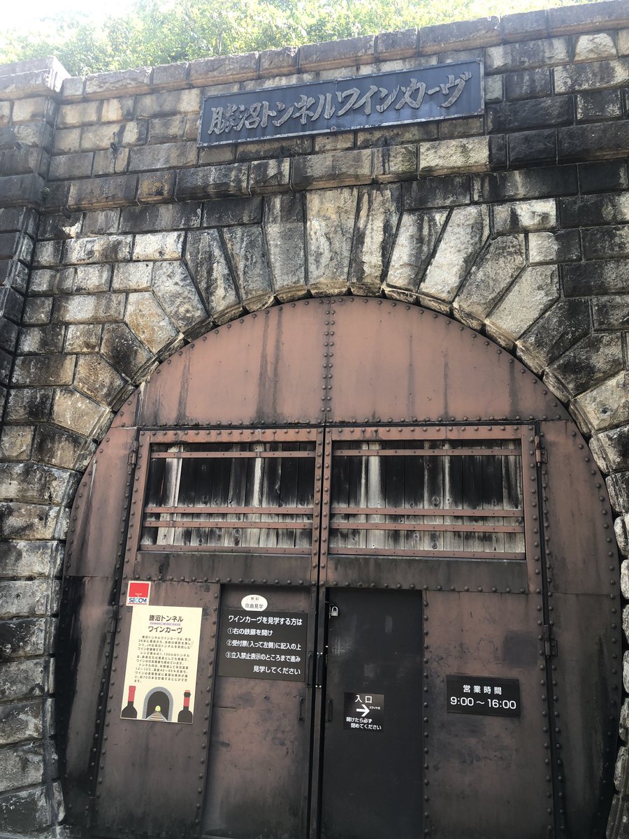 大日影トンネル
涼しくて良かった😁