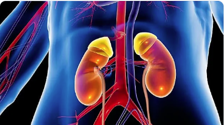 FoundationTfj's tweet photo. Find out about the symptoms, diagnosis, and treatment for kidney cancer - Web MD. #BATTLEANNUALLY #RealMenHelpThemselves Powered by @FoundationTfj. https://t.co/HGydVglOhl https://t.co/MdRjy8ZfgR
