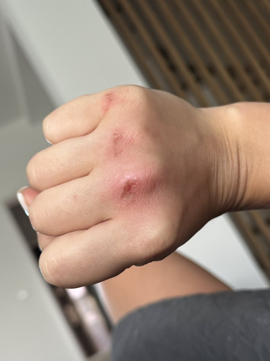 твоя фортуна tweet media