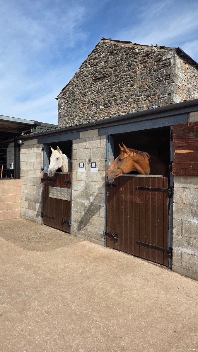 jode2k75's tweet photo. A great morning at @ejbutterworth for #NationalRacehorseWeek. Thank you for having us. What beautiful facilities and lovely horses there were to see. https://t.co/hDkgsQR95i