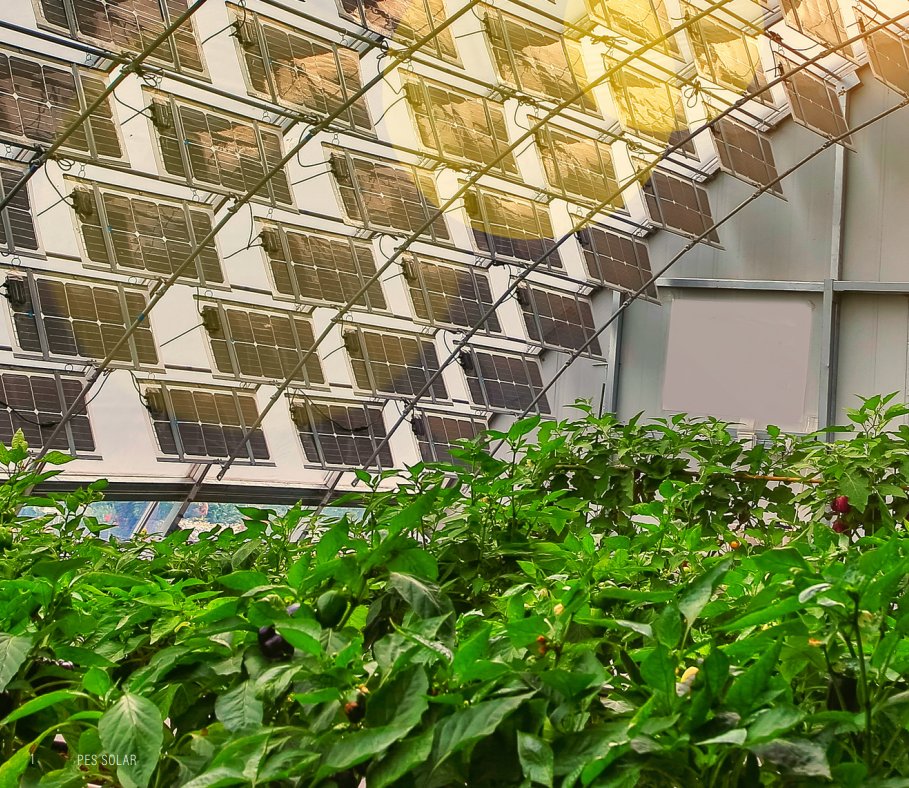 ⚡Europe’s energy future is shifting from consumers to prosumers.

C&amp;I inverters are becoming smart hubs that connect solar, storage, and the grid.

In our latest article with PES Solar, we explore how FIMER is redefining inverter technology

👉Read more: lnkd.in/dHQfMGRe