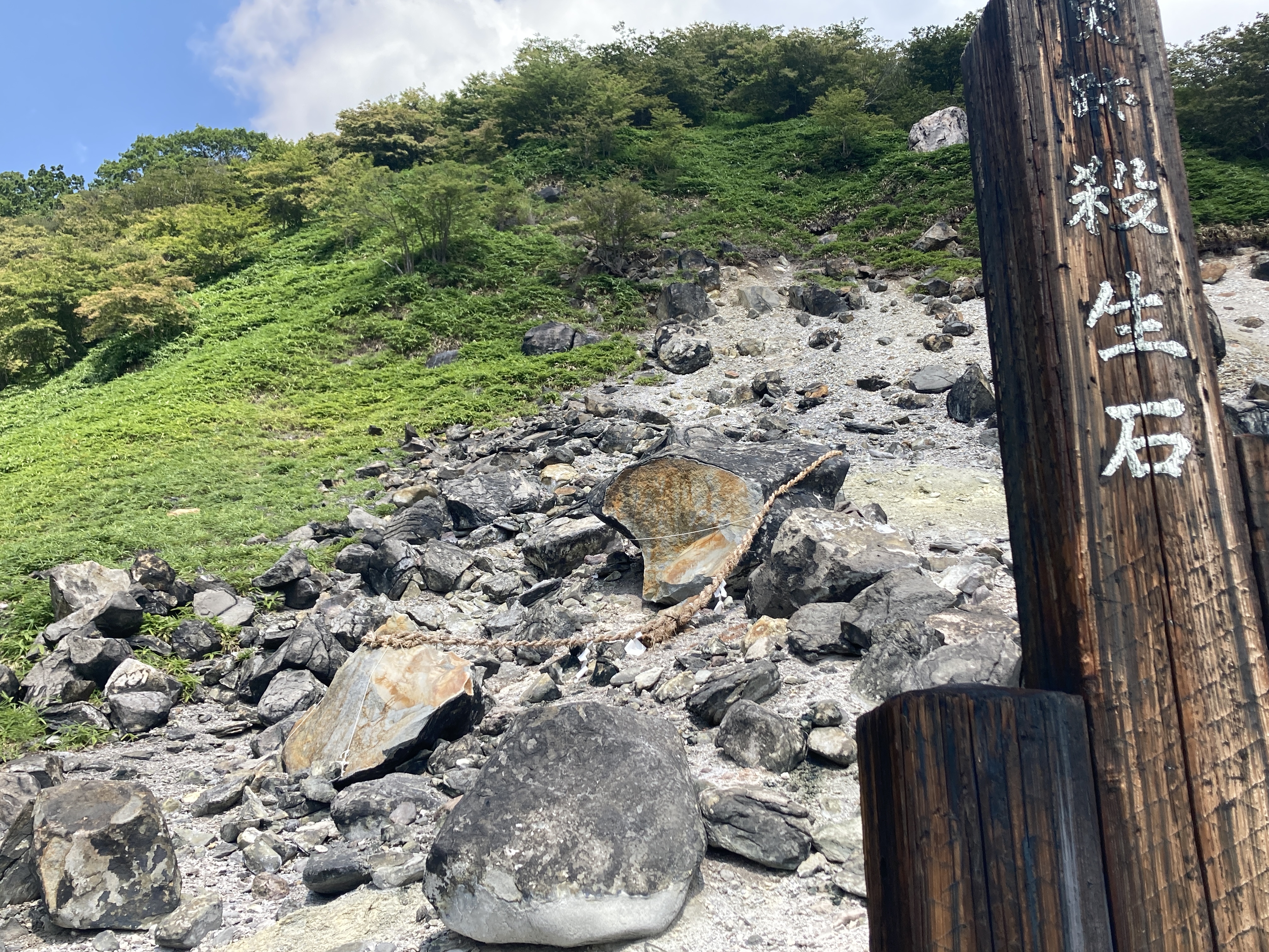 長崎 祐子/Nagasaki Yuko (@nukopin) / X