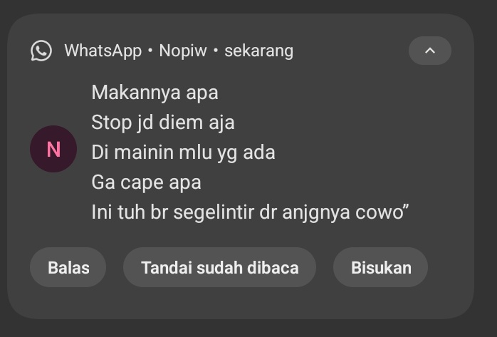 adaraass tweet media
