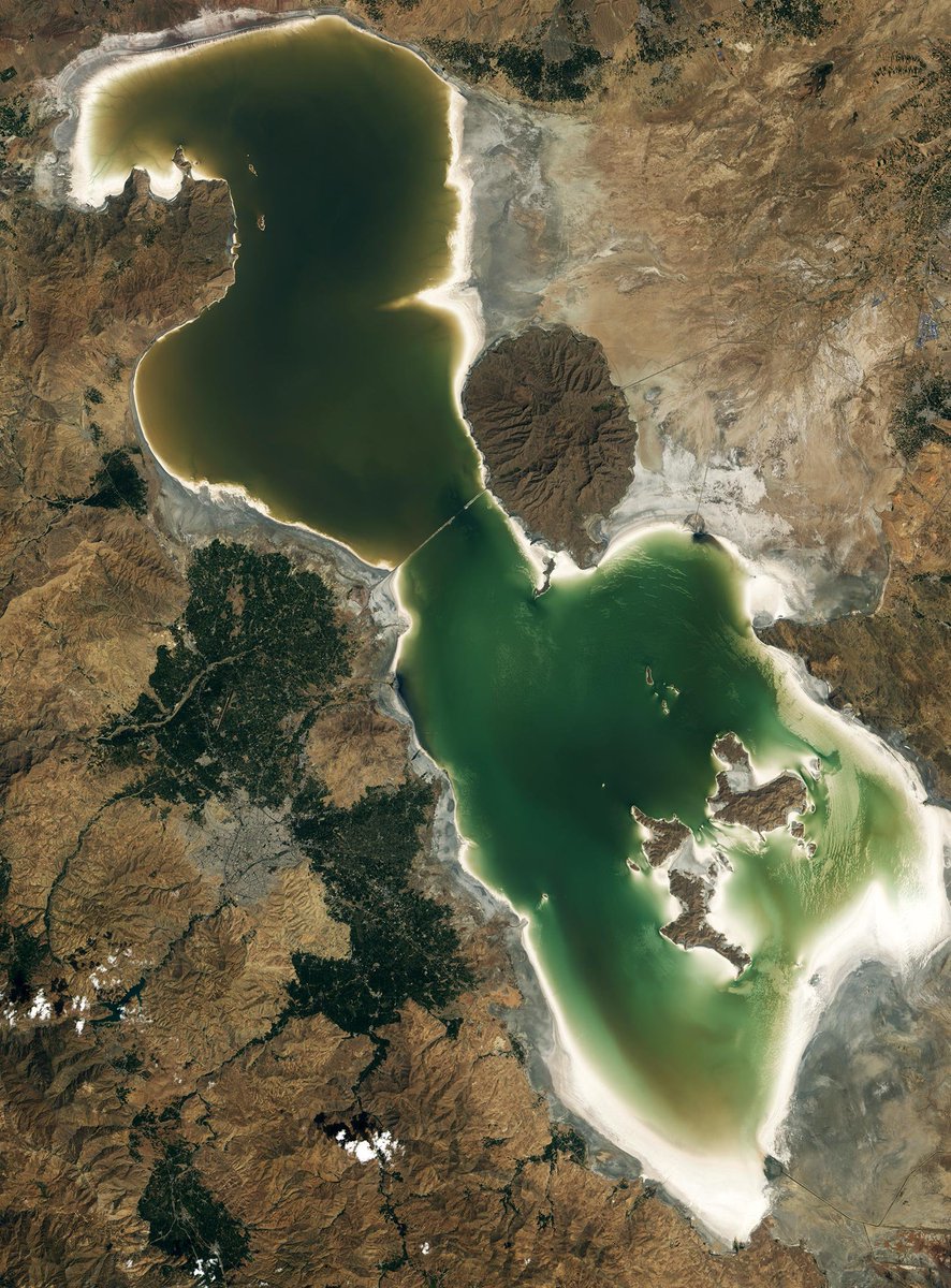 Dr. Tarendra Lakhankar tweet media