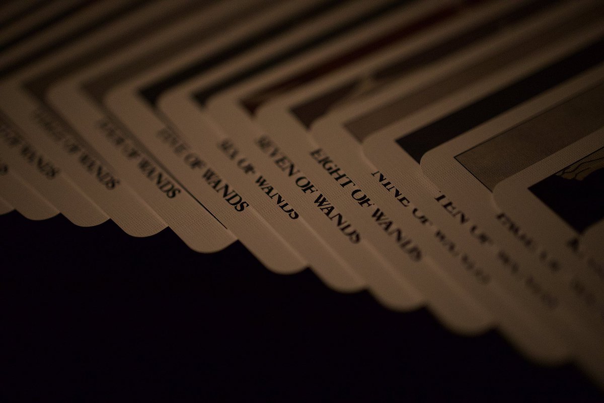 시트러스 타로 tweet media