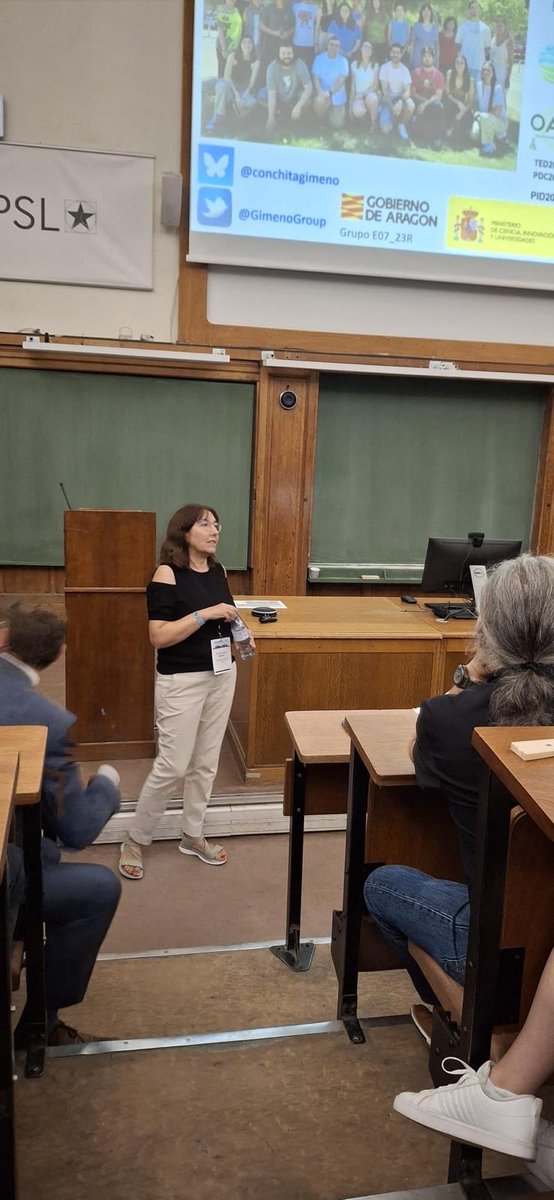 María Gil-Moles tweet media