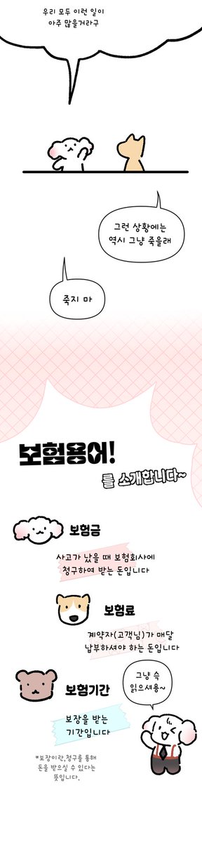 보험설계사,강하디 tweet media