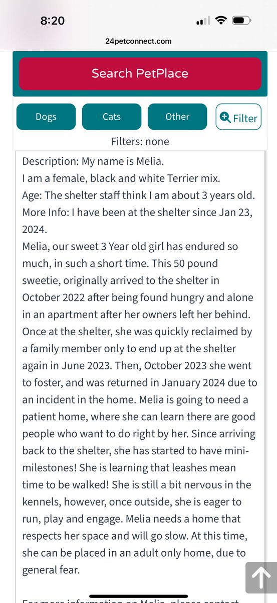 Maryam (@maryamstk) on Twitter photo Can we please make it our goal to find this beautiful girl a loving home ASAP. PLEASE keep sharing her, over and over, until MELIA leaves the shelter life behind her. PLEASE read her heartbreaking story and tell others about her. ❤️🐾❤️ #RT <a href="/Iza_2021/">Iza S</a> <a href="/RoCoGB/">RoCo🇬🇧God Save The King🇬🇧</a> <a href="/PawsnTails4TX/">@PawsnTails4TX 🇺🇸🇺🇸🐾🐾</a> Can we please make it our goal to find this beautiful girl a loving home ASAP. PLEASE keep sharing her, over and over, until MELIA leaves the shelter life behind her. PLEASE read her heartbreaking story and tell others about her. ❤️🐾❤️ #RT <a href="/Iza_2021/">Iza S</a> <a href="/RoCoGB/">RoCo🇬🇧God Save The King🇬🇧</a> <a href="/PawsnTails4TX/">@PawsnTails4TX 🇺🇸🇺🇸🐾🐾</a>