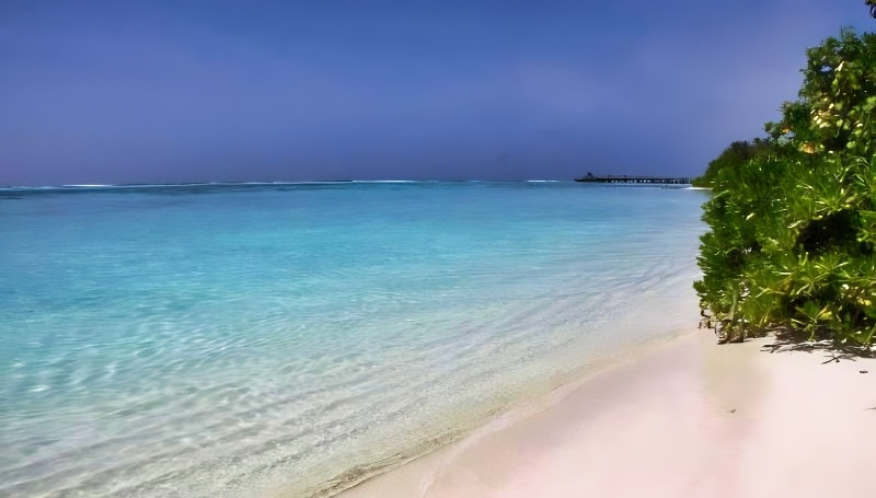 touristmtravel's tweet image. Maldives: Anantara Kihavah Villas Offer A Unique Festive Season dlvr.it/TMhqY3 #Accommodations #Countries #VacationResorts