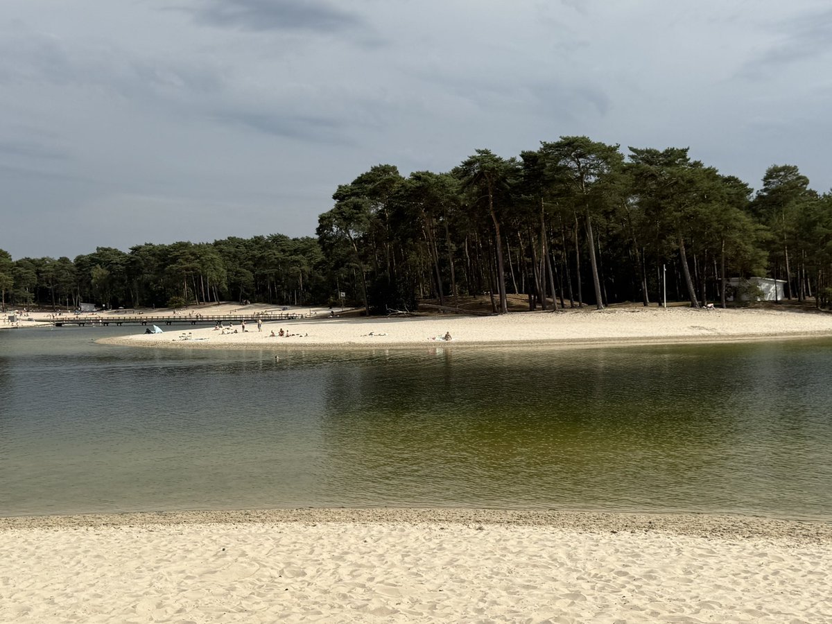 WurfTwain's tweet image. Weer laagvliegende Apaches, dit maal over het paradijselijke Henschotermeer. Ook weer zo’n geniale plek met witte stranden, helder water en een eilandje temidden van de naaldbomen. Een parel in Utrecht. #apache #henschotermeer #utrecht