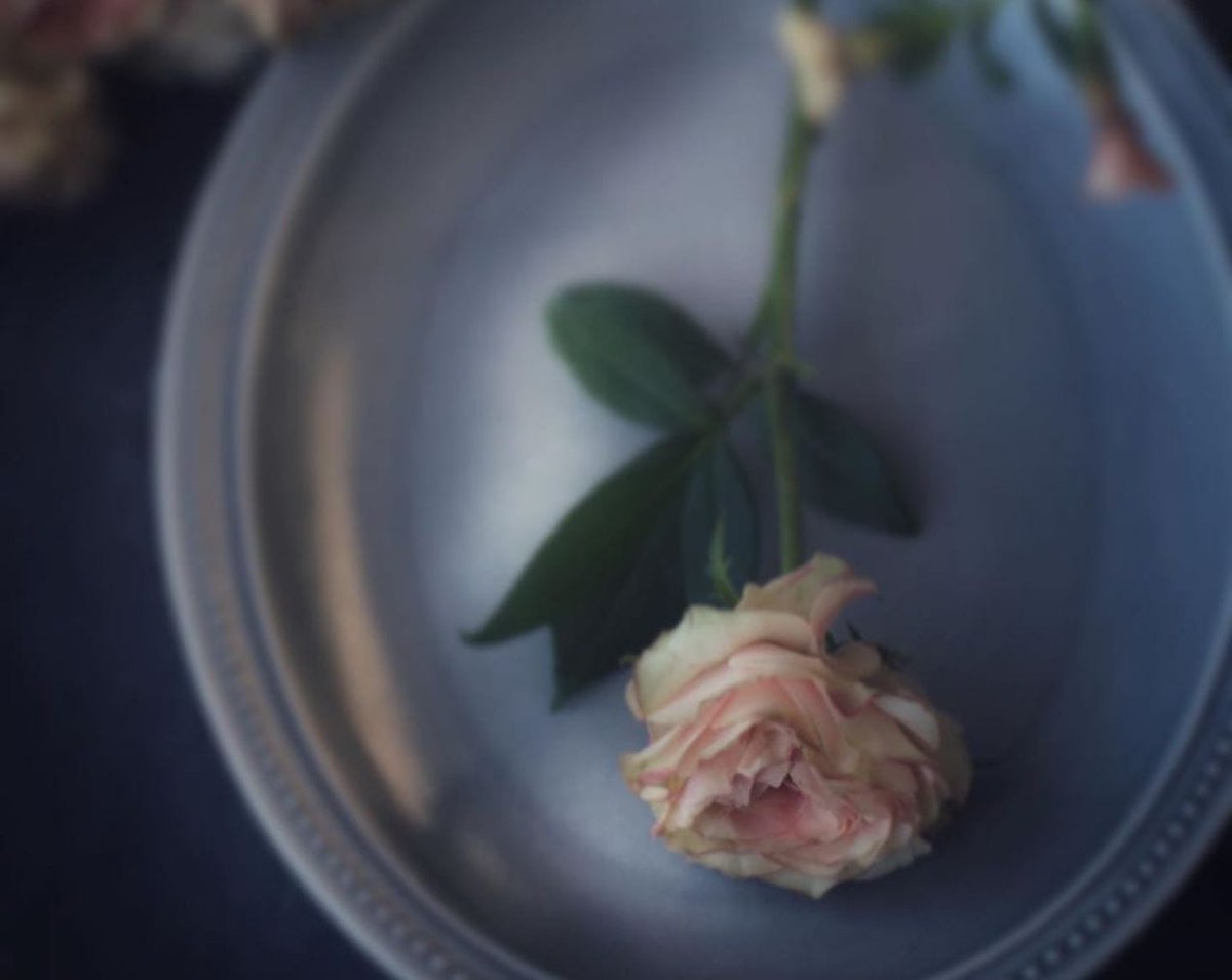 ــــــــــــ

كُل إنسان يعتقد أنه مُبتلى أكثر من غيره !!! والحقيقة أن لكُلٍ منا لديه ما يعانيه ويكدر صَفو حياته ، ولكننا نختلف في الرضا بقضاء الله وقدره.

#يارب_اثر_لنا_ولوالدينا
ــــــــــــ 🍃📚🍃 ــــــــــــــ