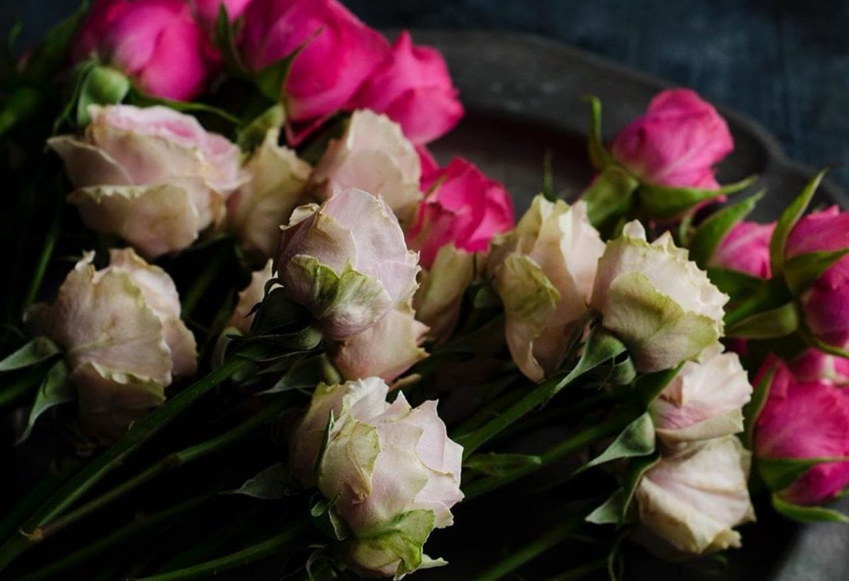 ــــــــــــ

‌(ولسوف يعطيك ربك فترضى﴾

ليس عطاء عادياً ، عطاء حتى نرضى ، عطاء حتى الارتواء ، اللهّم اجعلنا ممن توليتهم برحمتك و رضيت عنهم وأكرمتهم بكرمك .. ⁧#تفاءل⁩.

#يارب_اثر_لنا_ولوالدينا
ــــــــــــ 🍃📚🍃 ــــــــــــــ