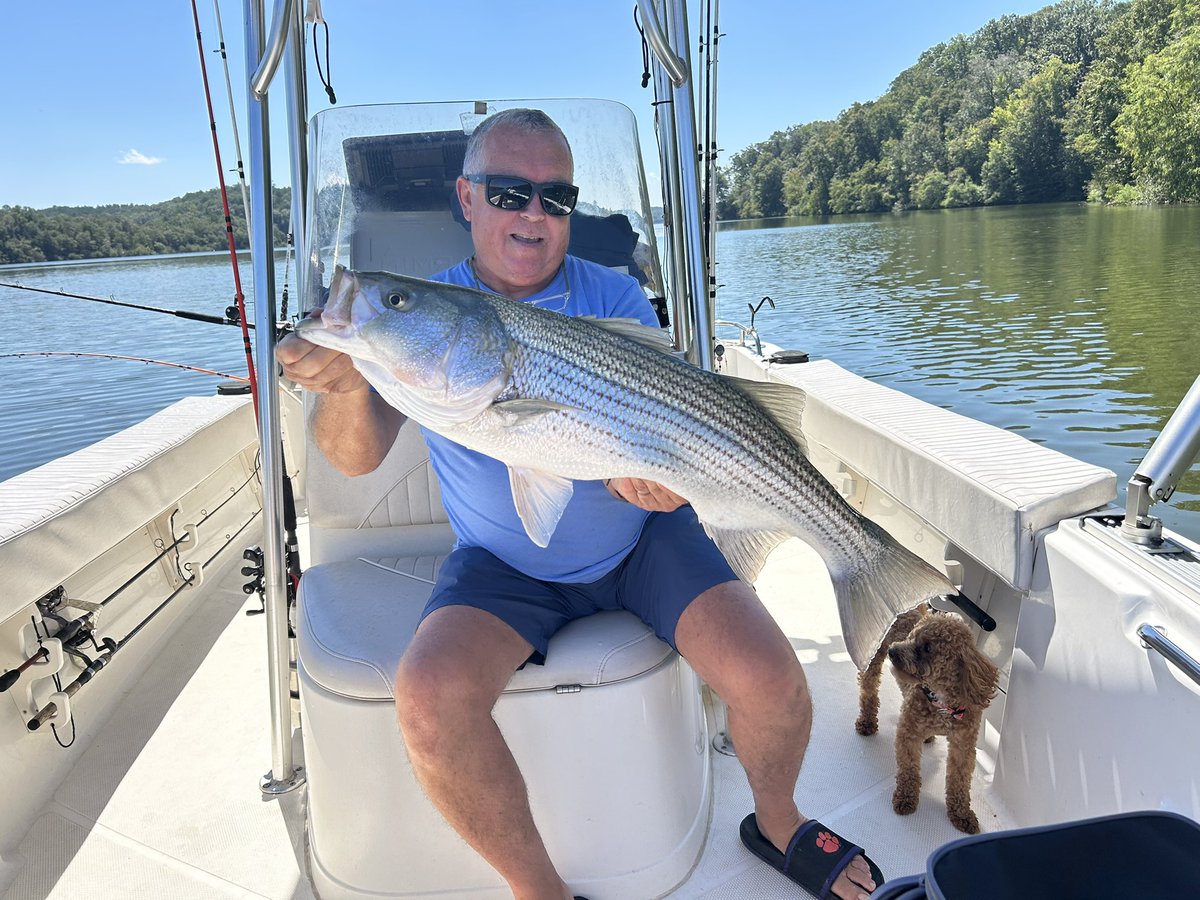 TheHatDean's tweet photo. Smack down Monday to kick off an Epic Gameweek. Go CU Tigers! Orange out Saturday! @ClemsonFB @ClemsonTigerNet @allin_dude @BassProShops https://t.co/lenEI00Pge