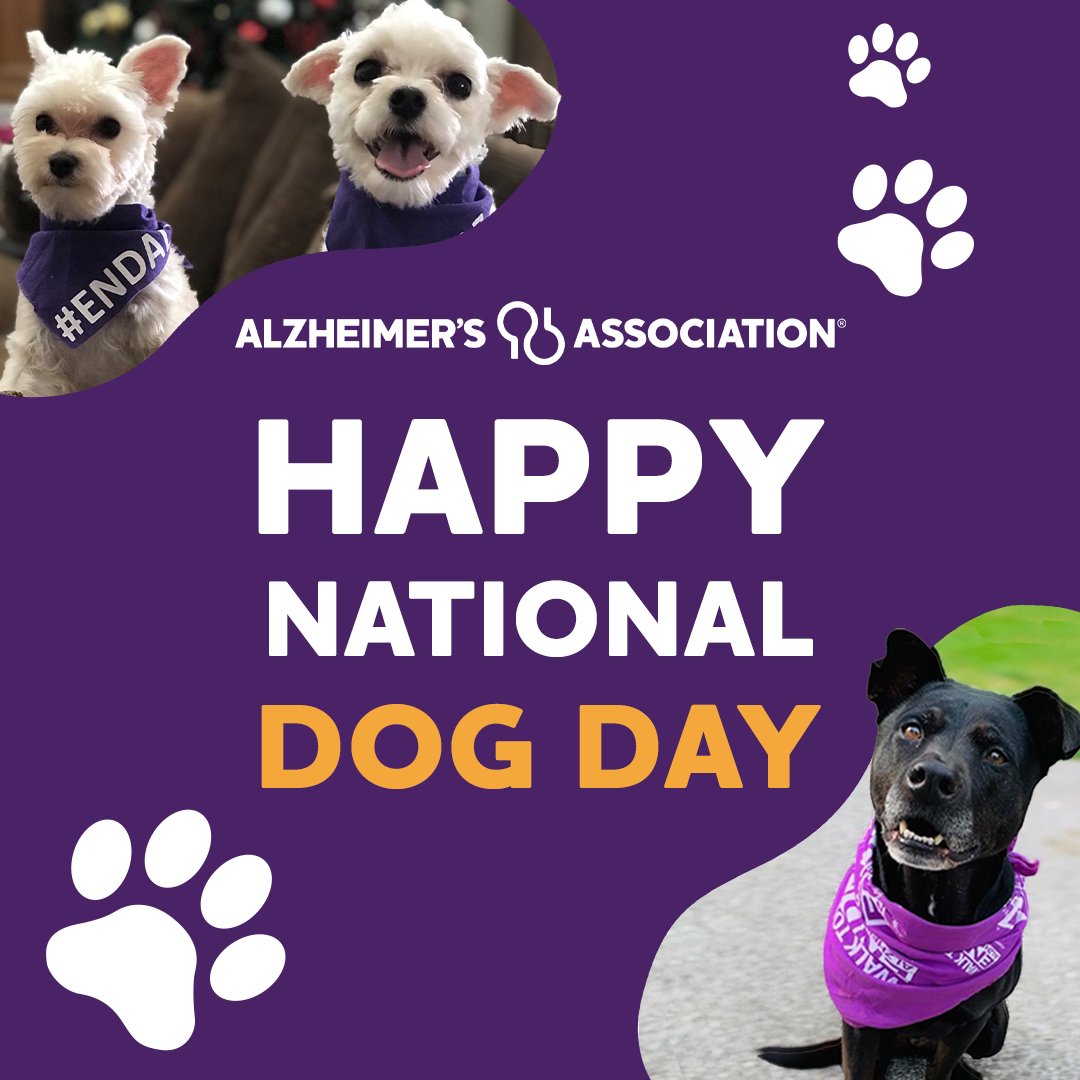 Happy #NationalDogDay 🐾 to all our furry friends who help us raise awareness in the fight to end Alzheimer’s. 💜 #ENDALZ