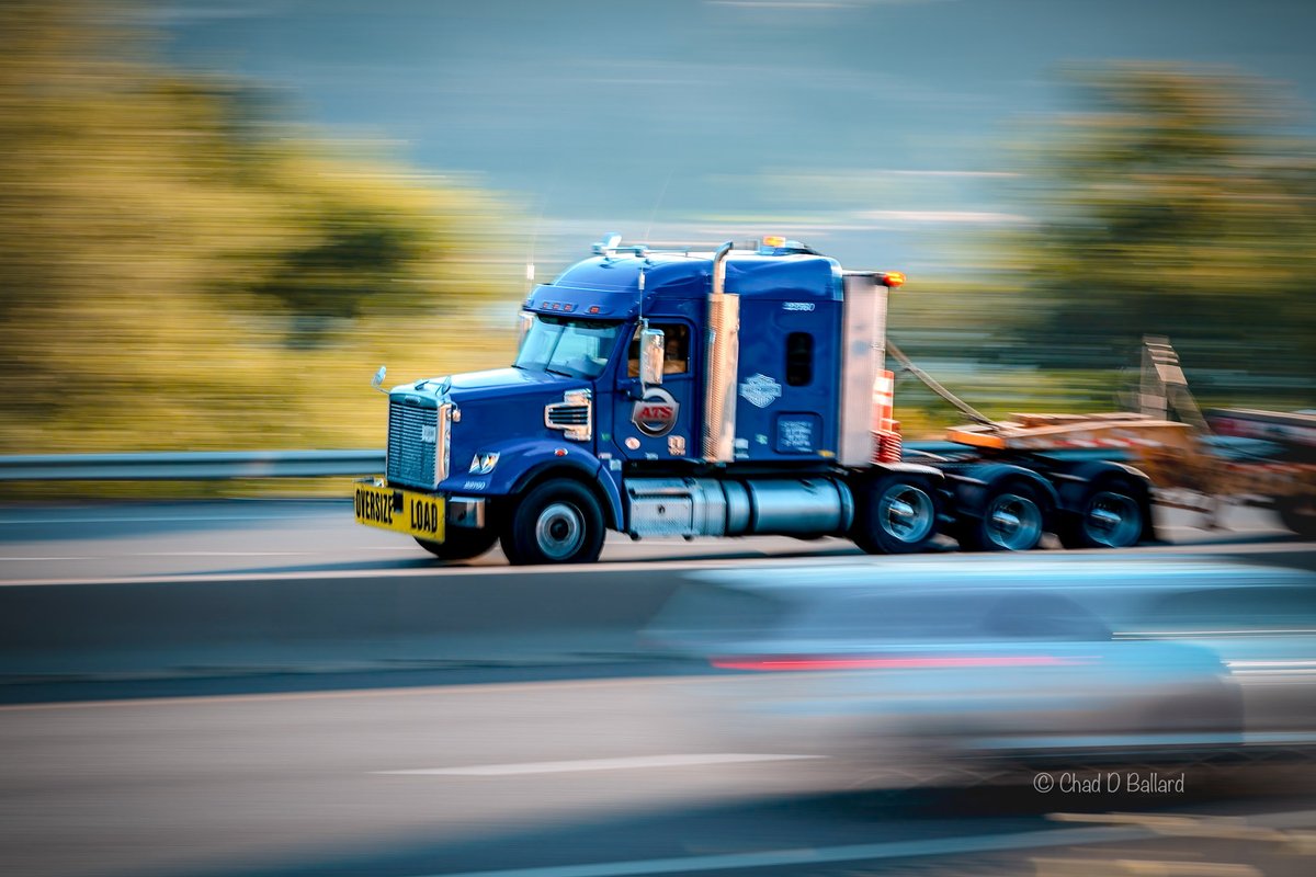 c65db's tweet image. 